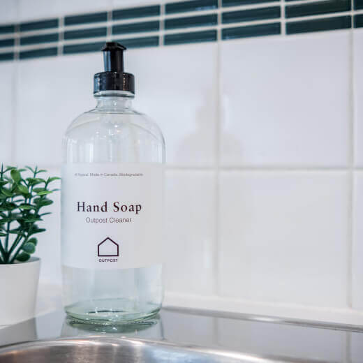 Hand soap and plant